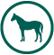 Ícone de Equoterapia